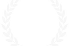 Halo International Film Festival